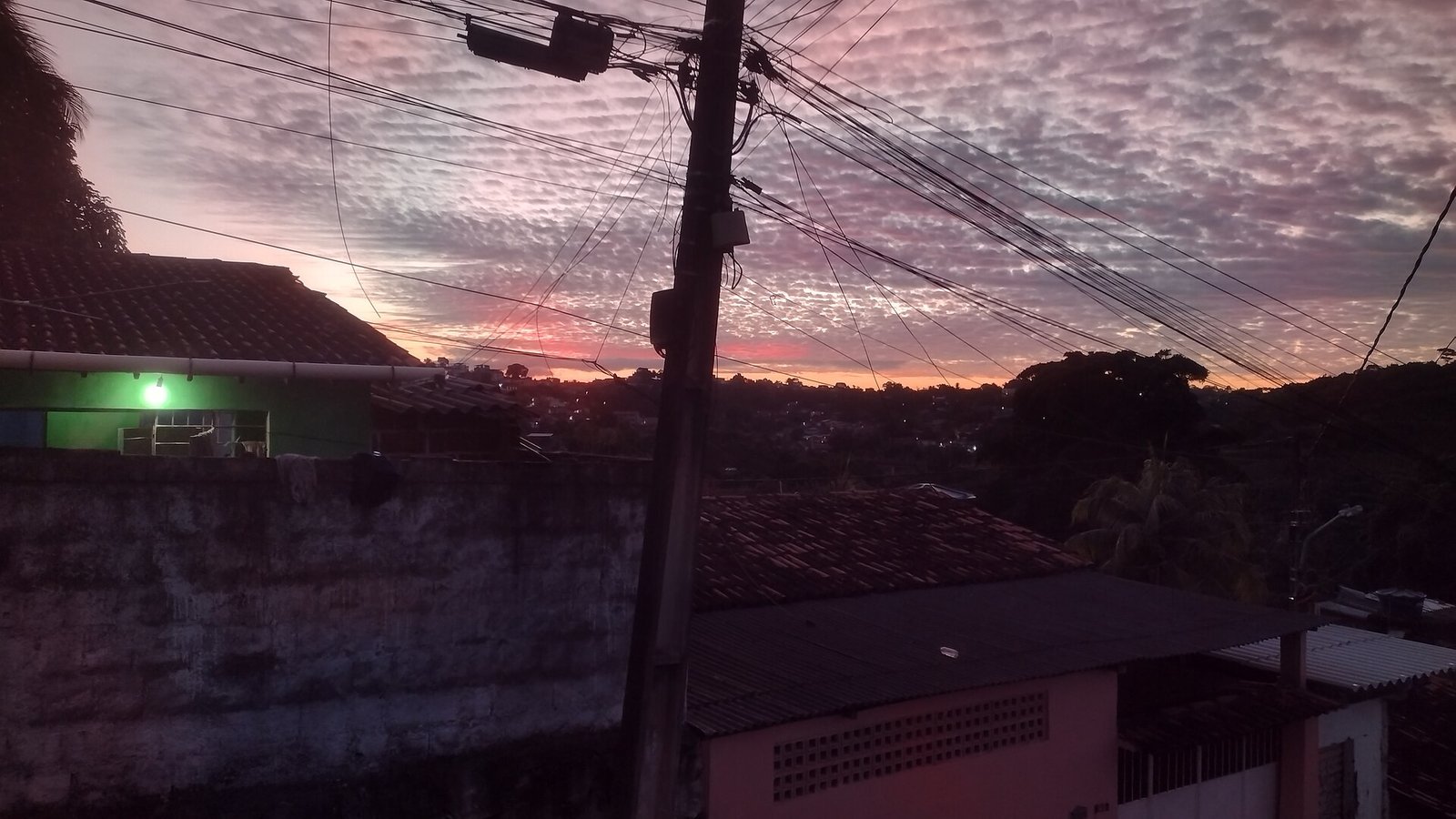Pernambuco