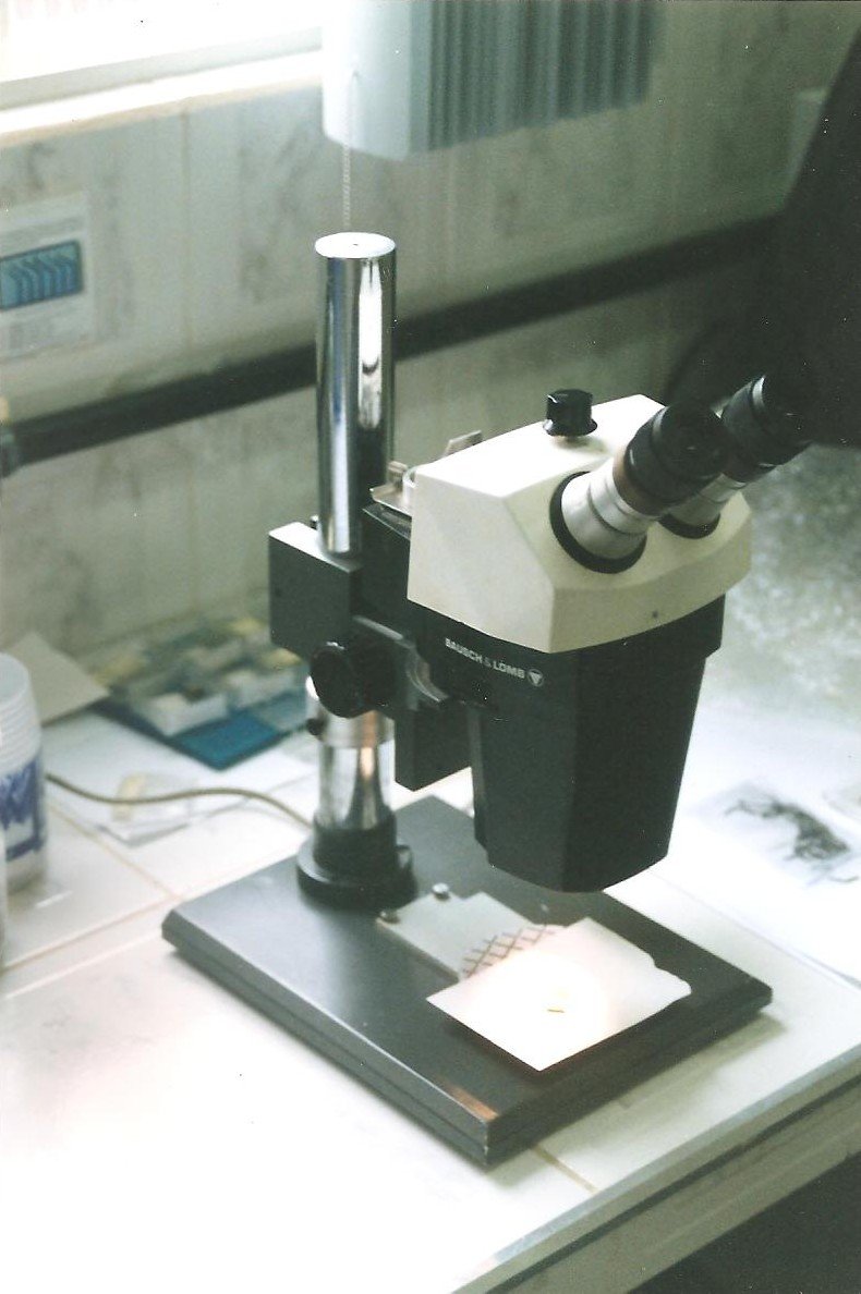 Microscópio