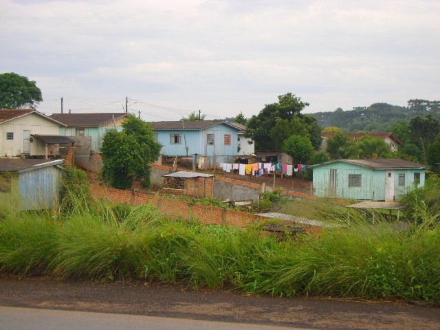 Pitanga