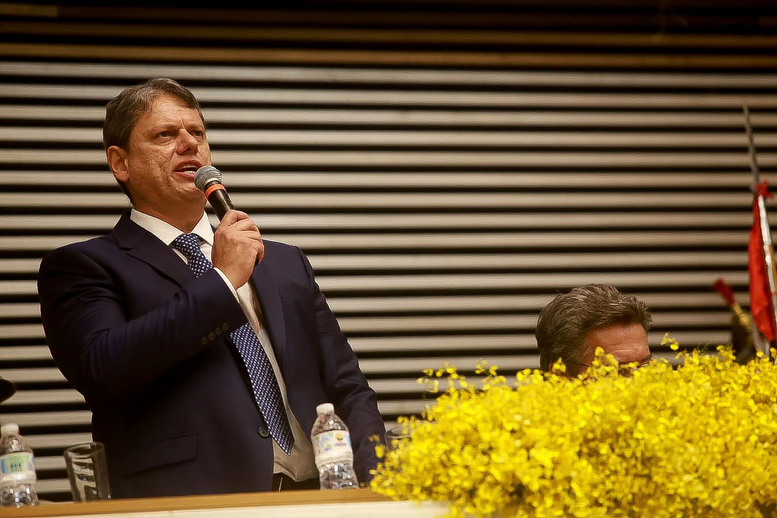 Governador de São Paulo, Tarcísio de Freitas