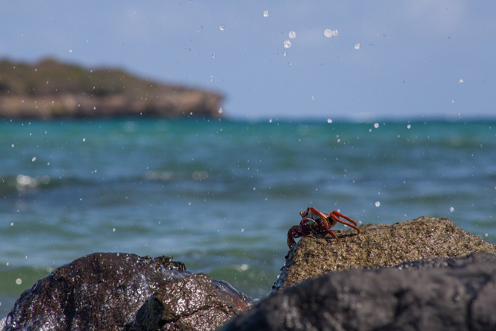 Fernando de Noronha