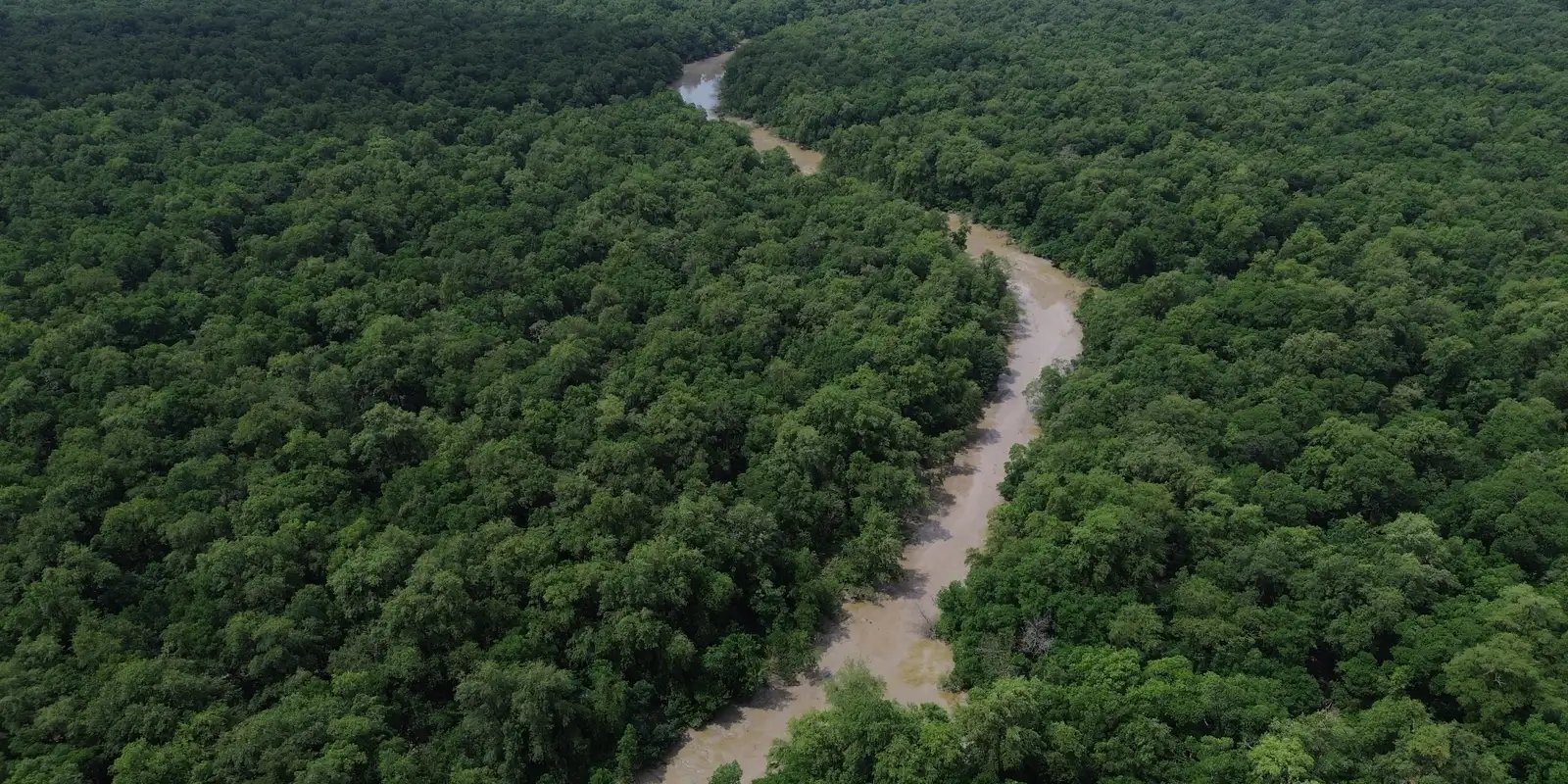 Desmatamento na Amazônia e no Cerrado