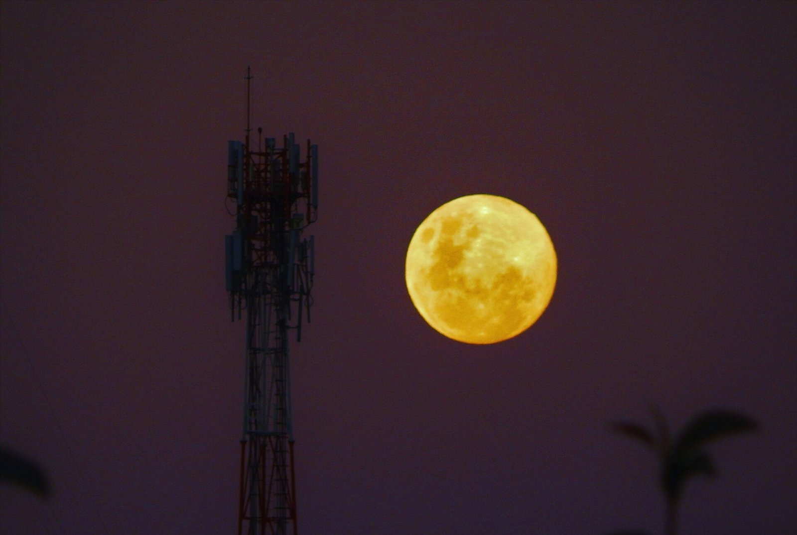 Lua Nova