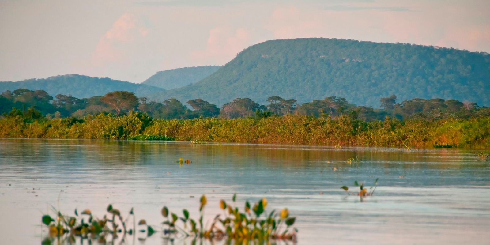 Cerrado