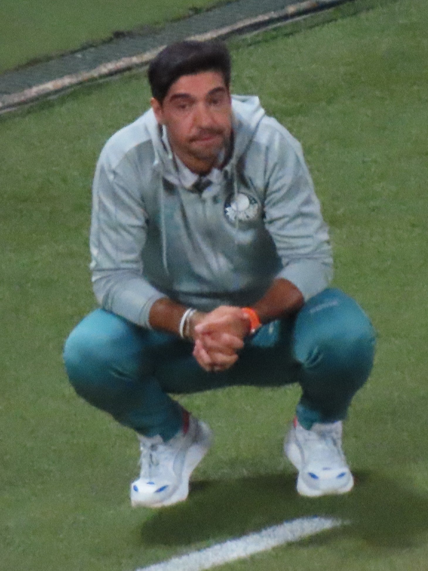 Abel Ferreira