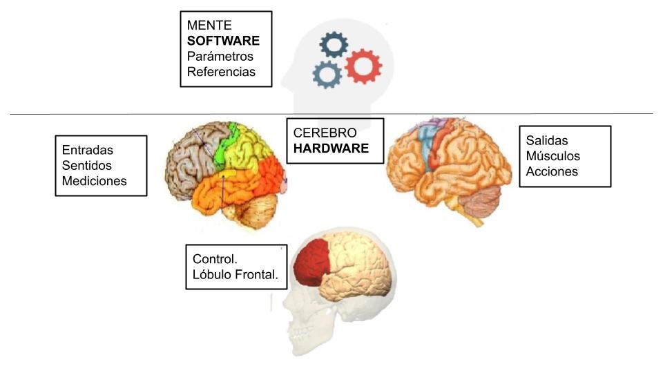 Cérebro e mente