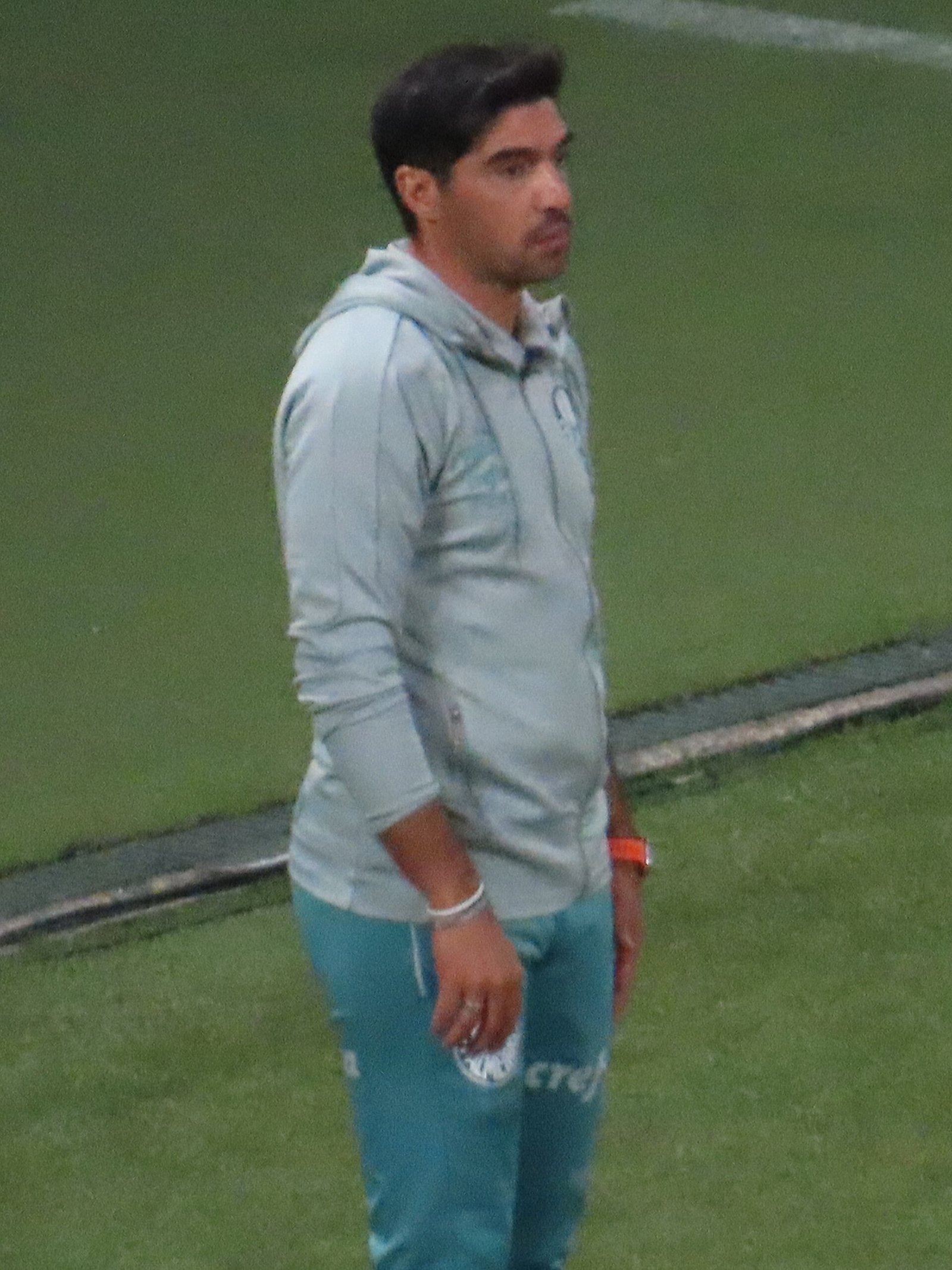 Abel Ferreira