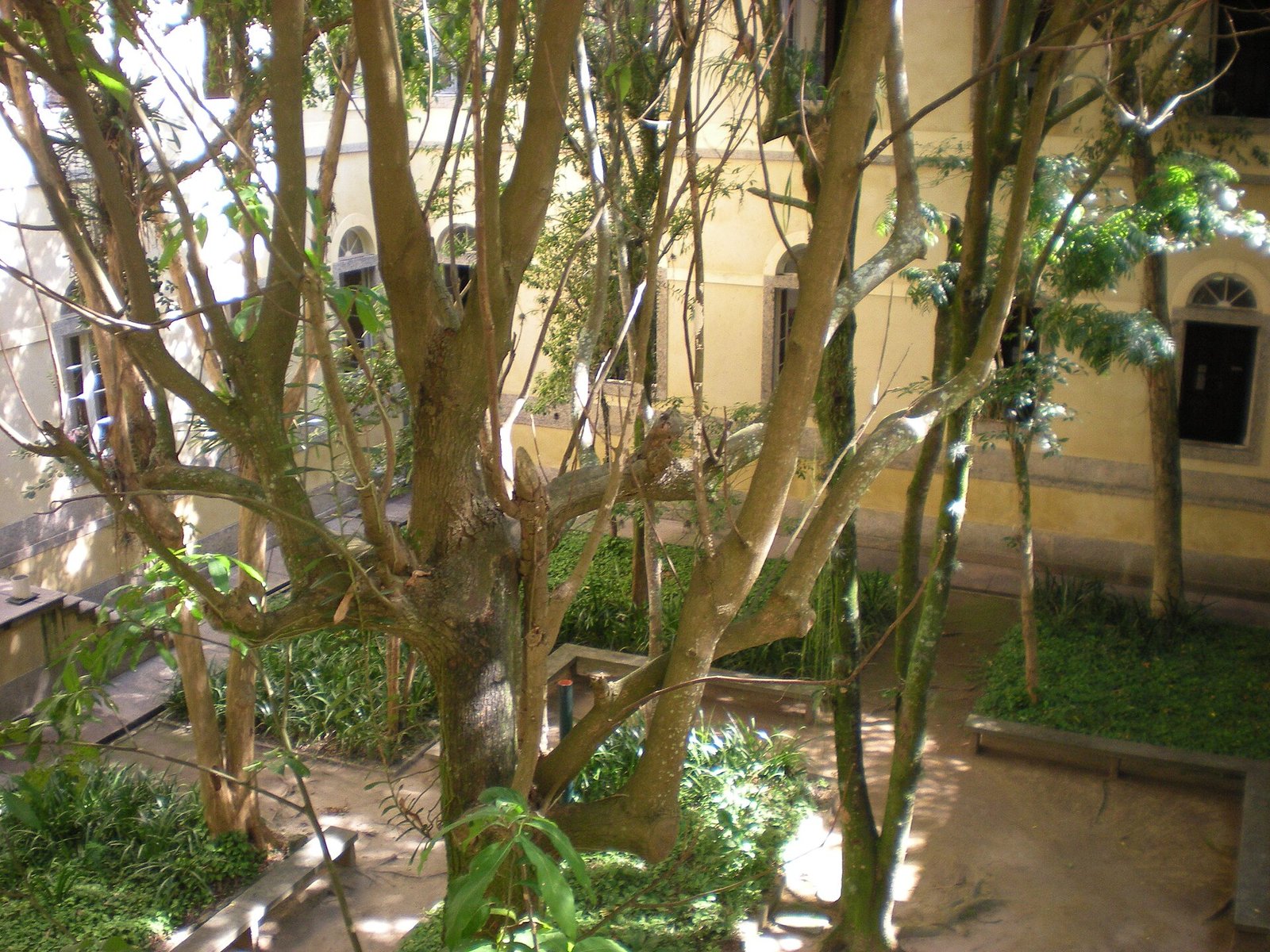 Palácio Universitário da UFRJ no Rio de Janeiro