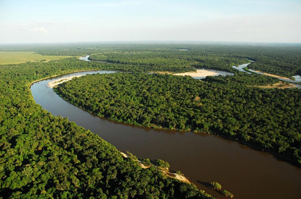 Parque Nacional do Viruá em Roraima