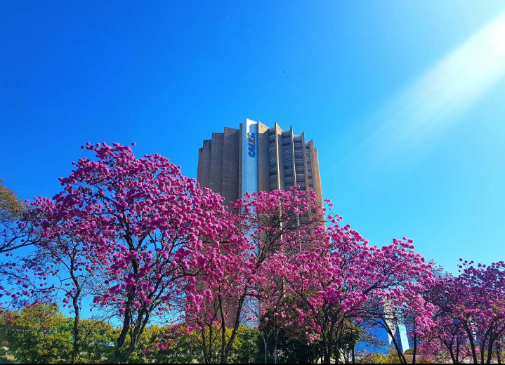 Sede da Caixa Econômica Federal em Brasília