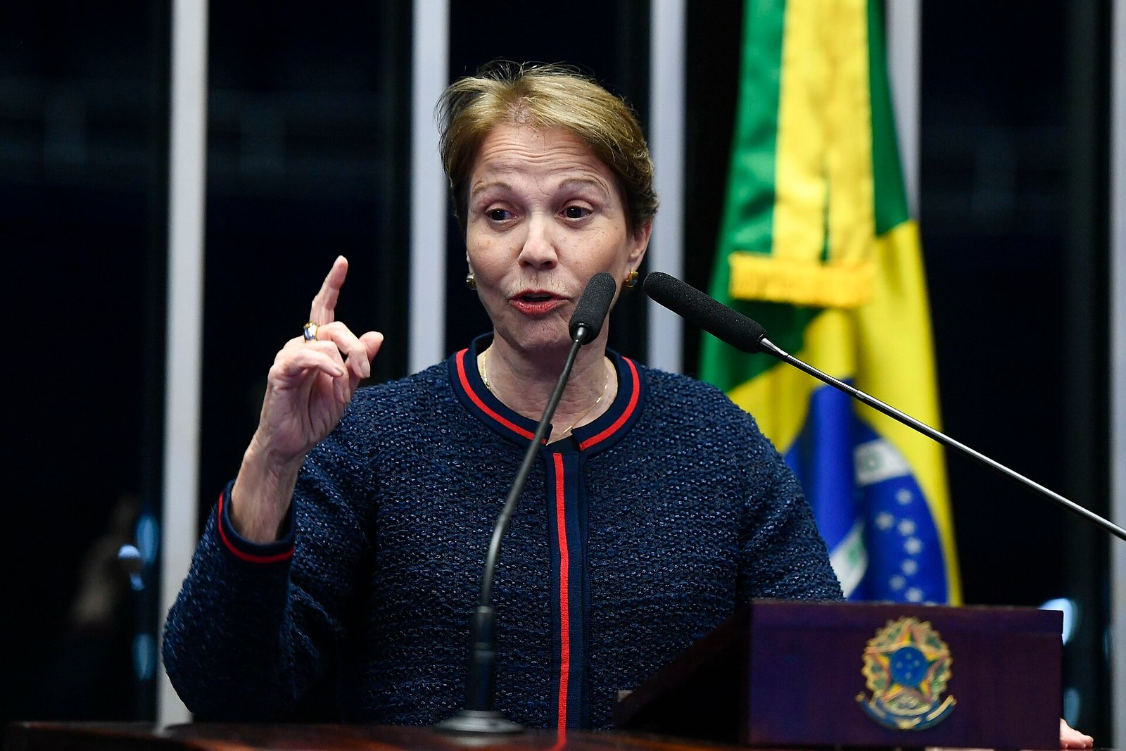 Tereza Cristina